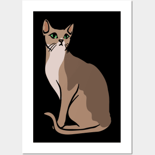 A cat cute looking Posters and Art
